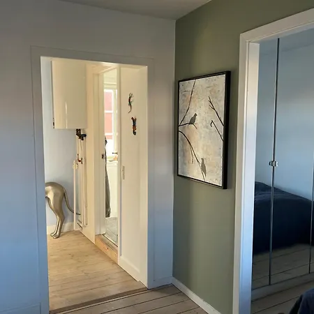 Cozy And *