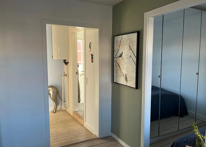 Cozy And *